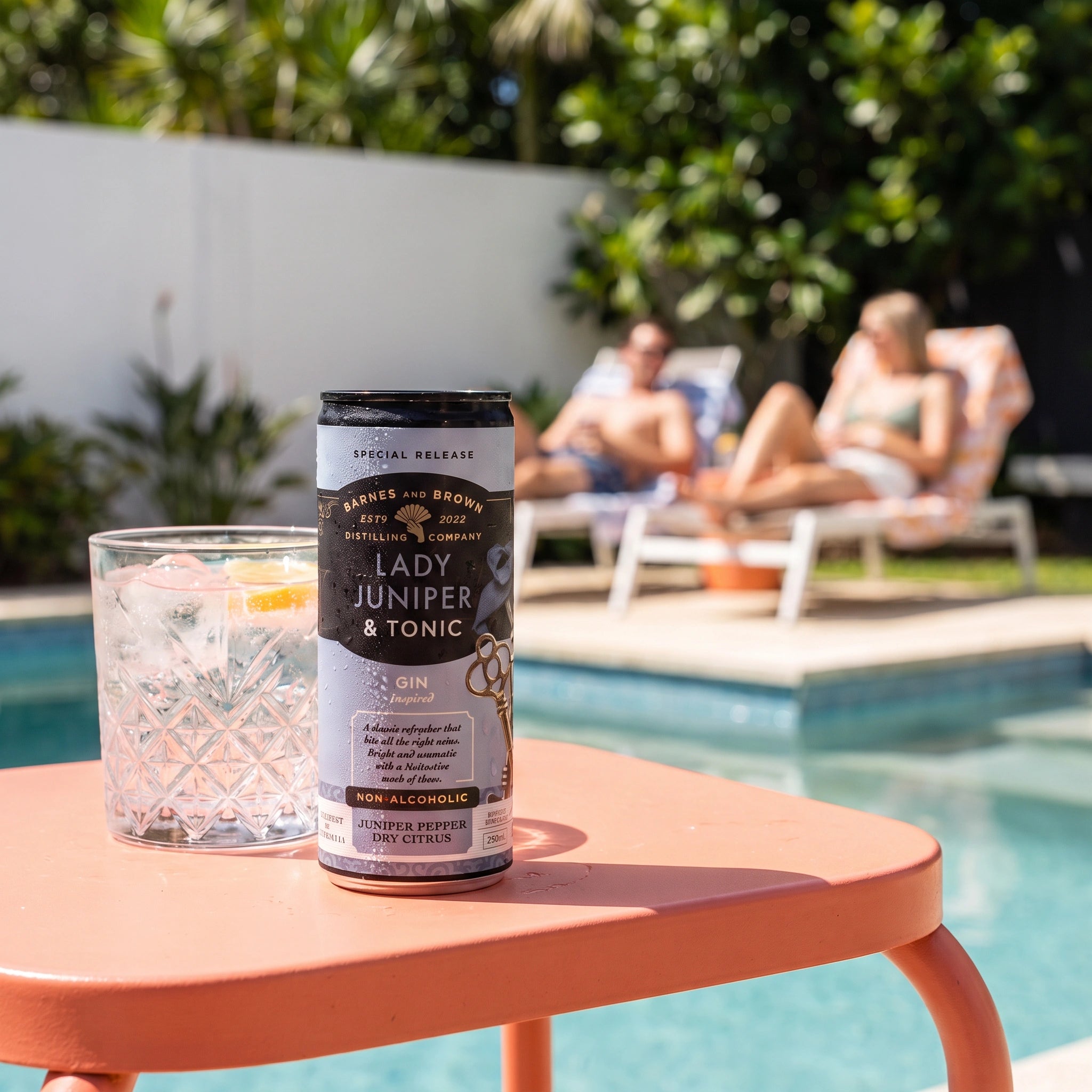Lady Juniper & Tonic Ready to Drink Cans – Barnes & Brown