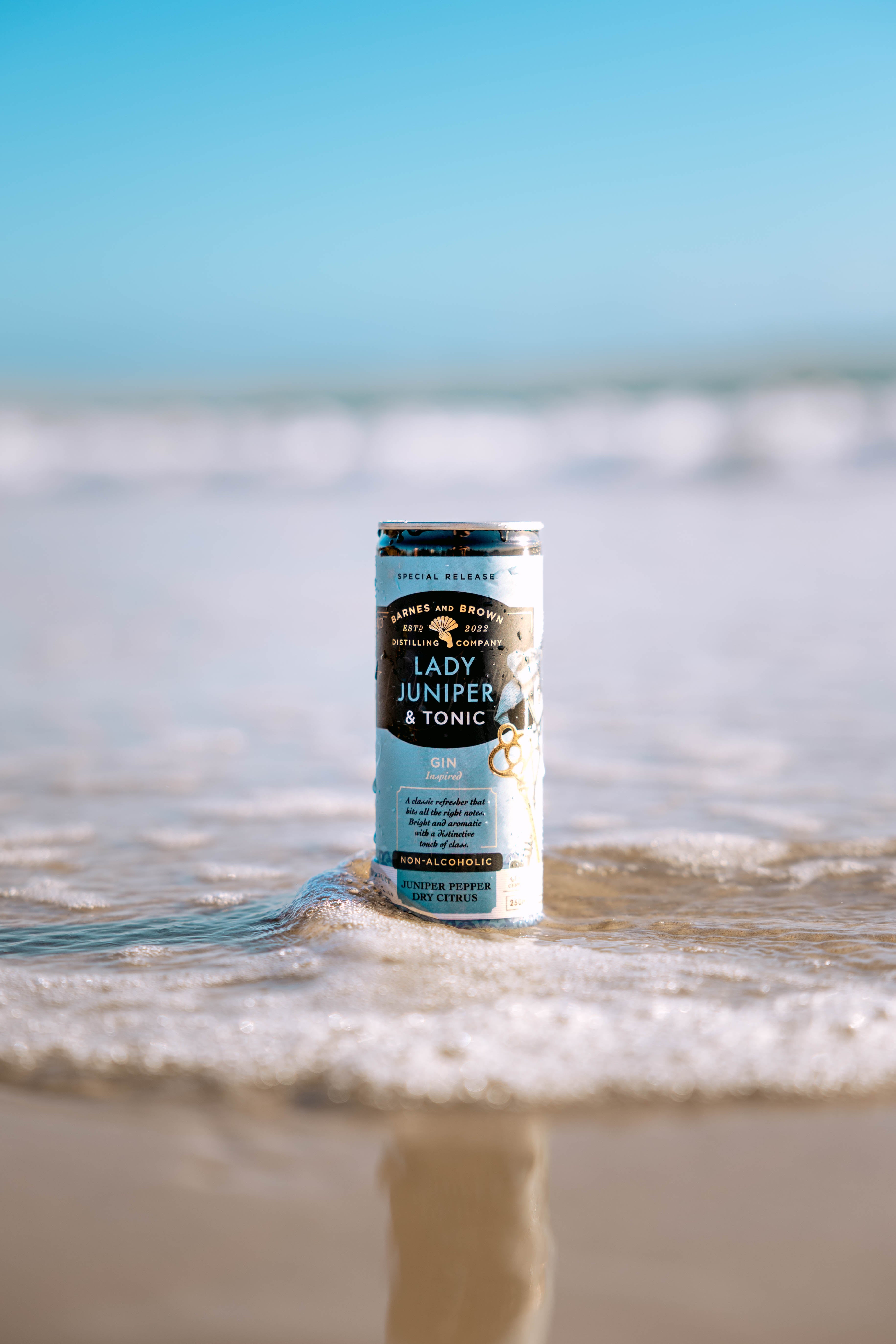 Lady Juniper & Tonic Ready to Drink Cans – Barnes & Brown