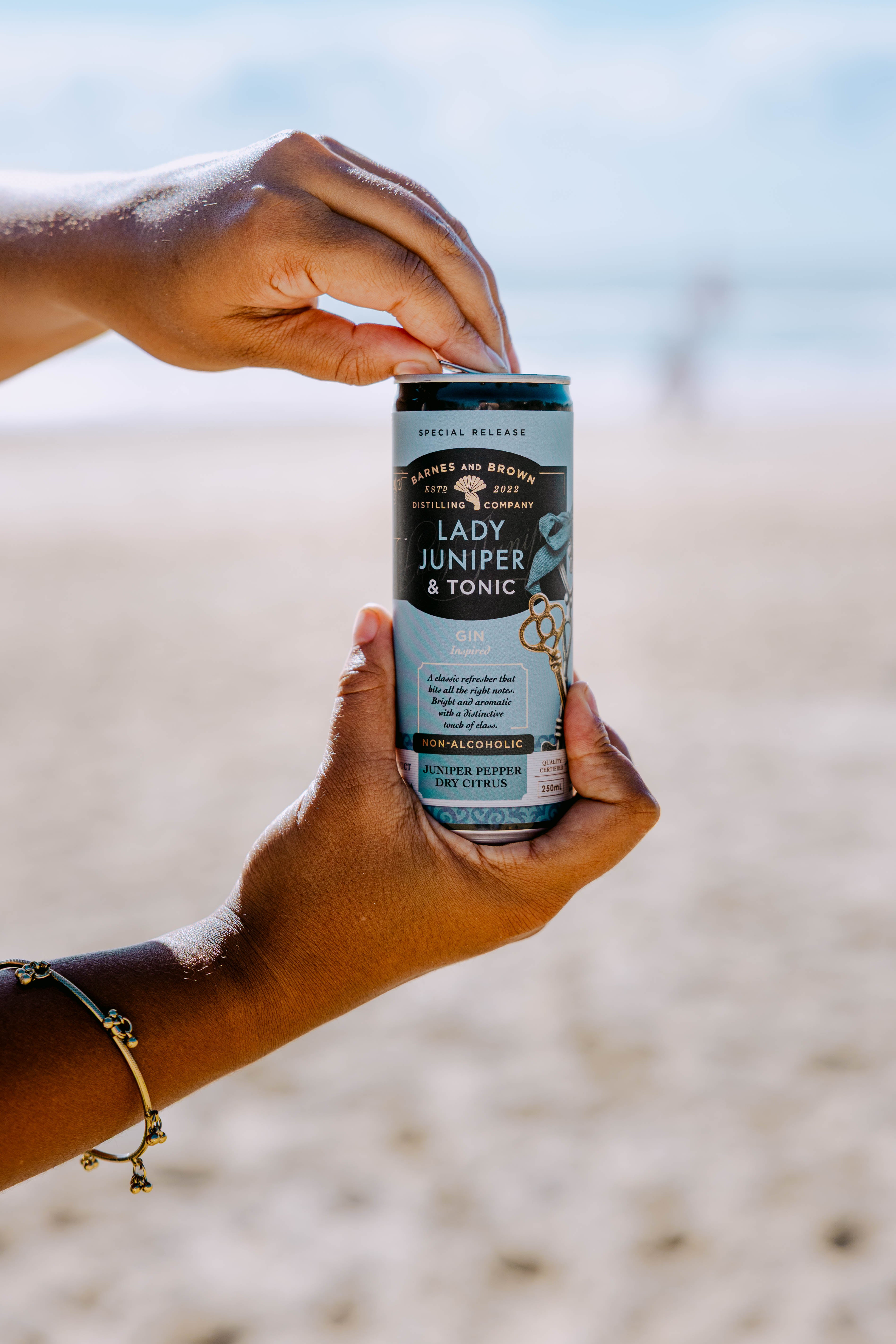 Lady Juniper & Tonic Ready to Drink Cans – Barnes & Brown